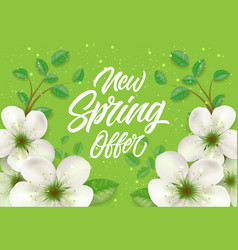 New Spring Offer Poster Design