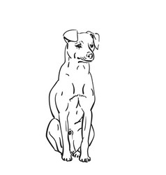 Dog Sitting Looking Sad Drawing Hand Drawn