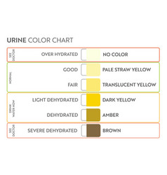 Urine Color Chart