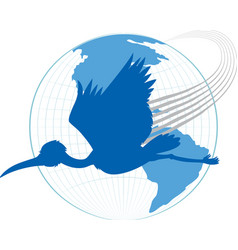 Silhouette Stork Bird Flying On Earth