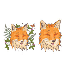 Head A Fox Surrounded Clover And Fern