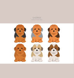 Shorkie Clipart Shih-tzu Yorkshire Terrier Mix