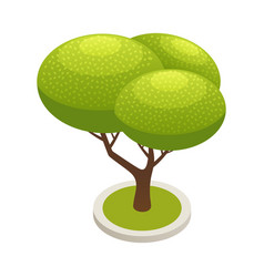 Tree Isometric Icon