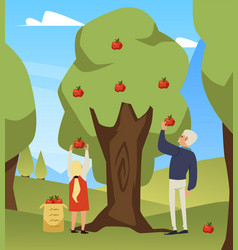 Grandpa And Girl Harvesting Apples In Garden Flat