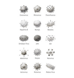 Set Common Viruses Models Pathogens