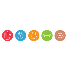 Outline Icon Set Of Five Human Senses Vision Eye