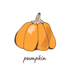 Pumpkin Hand Drawn