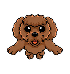 Cute Toy Poodle Dog Cartoon Holding A Bone