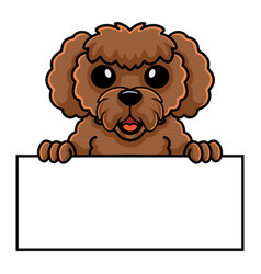 Cute Toy Poodle Dog Cartoon Holding Blank Sign