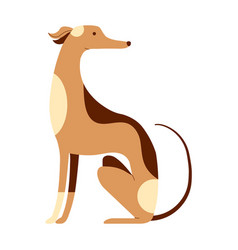 Italian Greyhound Whippet Dog Cartoon