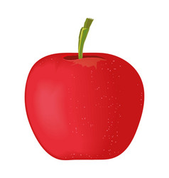 Apple Fruit Realistic