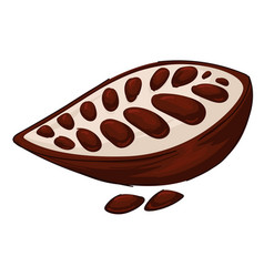 Cocoa Pod Aromatic Culinary Ingredient