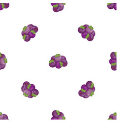 Garcinia Mangosteen Pattern Seamless