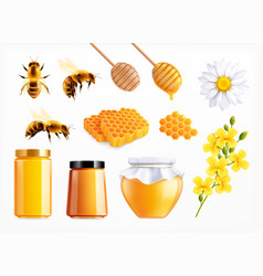 Honey Realistic Icon Set