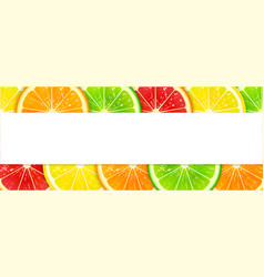 Banner With Colorful Citrus Fruits