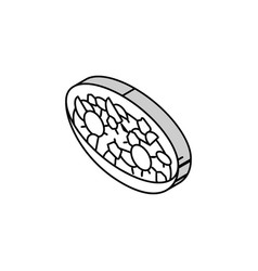 Greek Salad Cuisine Isometric Icon