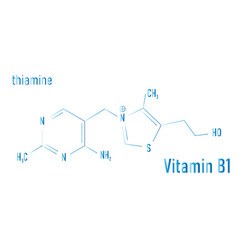 Vitamin B1 Chemical Formula