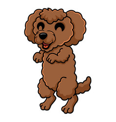 Cute Toy Poodle Dog Cartoon Standing