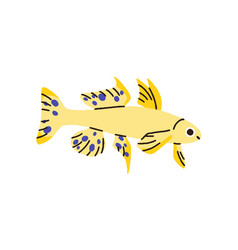 Small Exotic Tropical Sea Fish Marine Water And