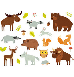 Set Of Woodland Animals