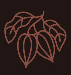 Cocoa Bean Chocolate Icon Beans And Branches