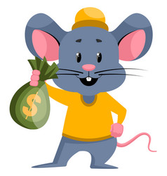 Mouse With Money On White Background