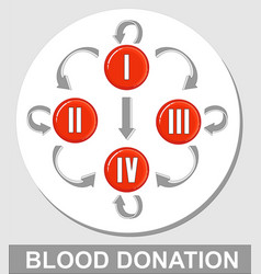 Red Blood Cell Matching Board Hematology