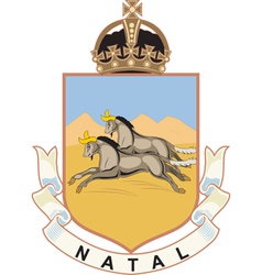 Natal Province