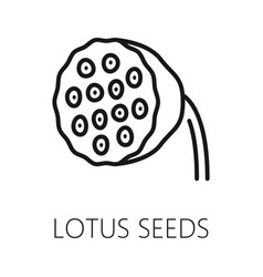 Lotus Seed Outline Icon Organic Healthy Food