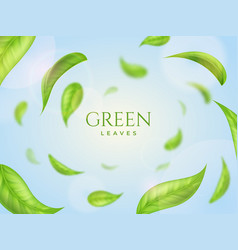 Green Leaves Fresh Realistic Leaf Round Frame