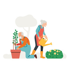 Old Man And Woman Gardening People Taking Care