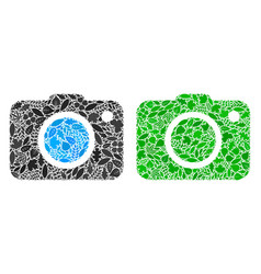 Photo Camera Icon Nature Mosaic Of Floral Elements