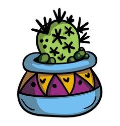 Cactus Plant Pot