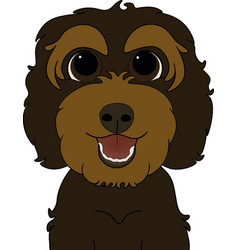 Chocolate Red Golden Cockapoo Labradoodle