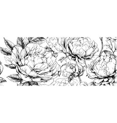 Sketch Banner Large Flowers Roses With Leaves