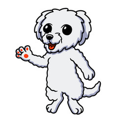 Cute Bichon Frise Cartoon Waving Hand