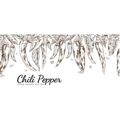 Seamless Border With Hand Drawn Chili Peppers