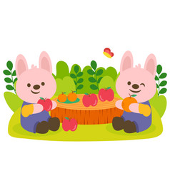 Rabbit Couple Eating Fruit In Park