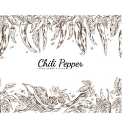 Chili Pepper Seamless Border In Hand Drawn Sketch