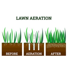 Stages Lawn Aeration