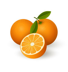 Realistic Orange Fruits