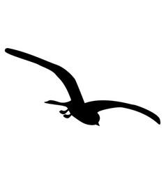 Tern Bird Silhouette With Spread Wings Isolated