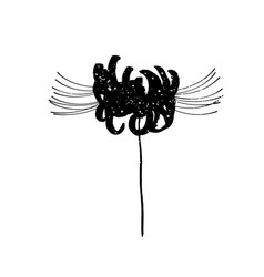 Hand Drawn Spider Lily Silhouette