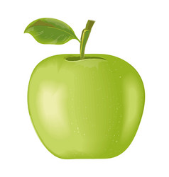 Green Apple Fruit Realistic