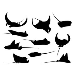 Manta Ray Stingray Or Cramp Fish Silhouette