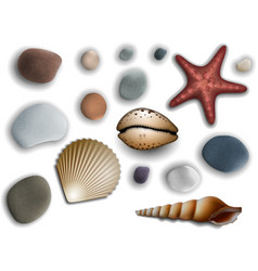 Sea Shells And Pebbles On A White Background