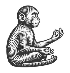 Meditating Monkey In Seated Position Sketch