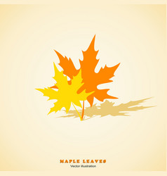 Two Maple Leaves