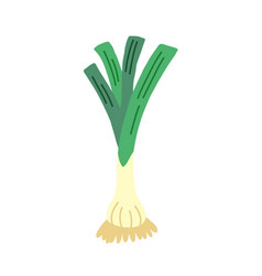 Green Leeks Onion