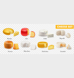 Realistic Cheese Transparent Icon Set